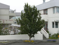 Umhverfisviðurkenning 2013