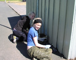 Nemendur Vinnuskóla Seltjarnarness að störfum