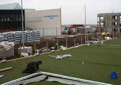 Lóð Mýrarhúsaskóla