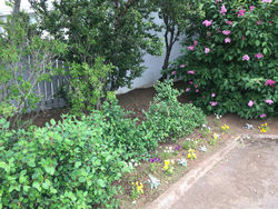 Litla Brekka Litla Brekka