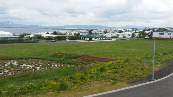 Móakotstún Móakotstún