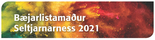 Bæjarlistamaður Seltjarnarness 2010
