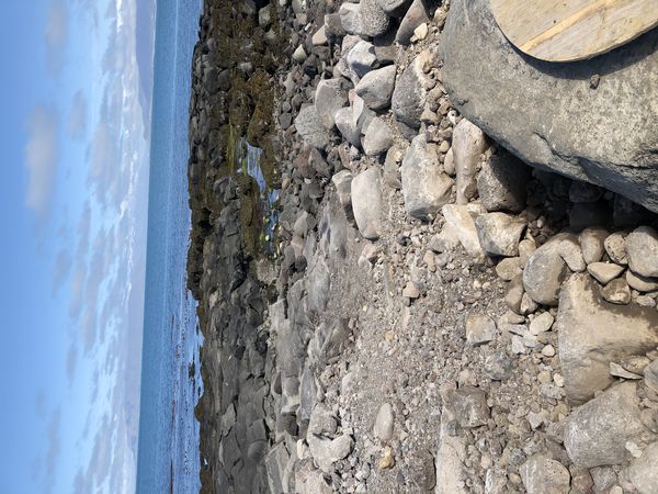 Bollasteinn lagfæring