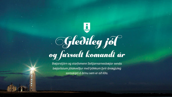 Gleðileg jól og farsælt komandi ár