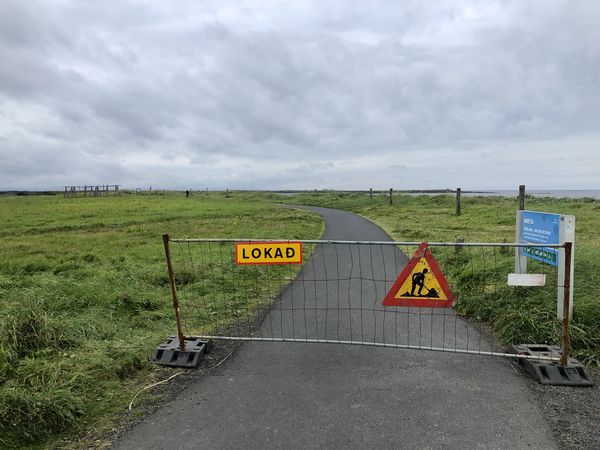 Göngu- og hjólastígur