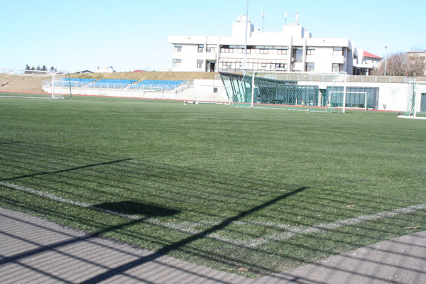 Gervigrasvöllur Gervigrasvöllur