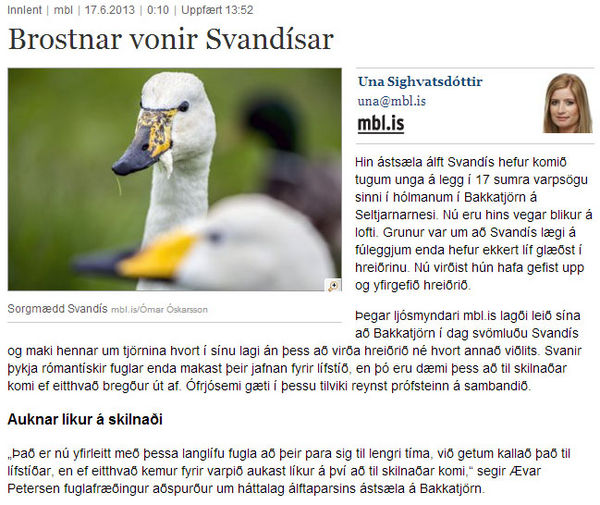 Grein Unu Sighvatsdóttur