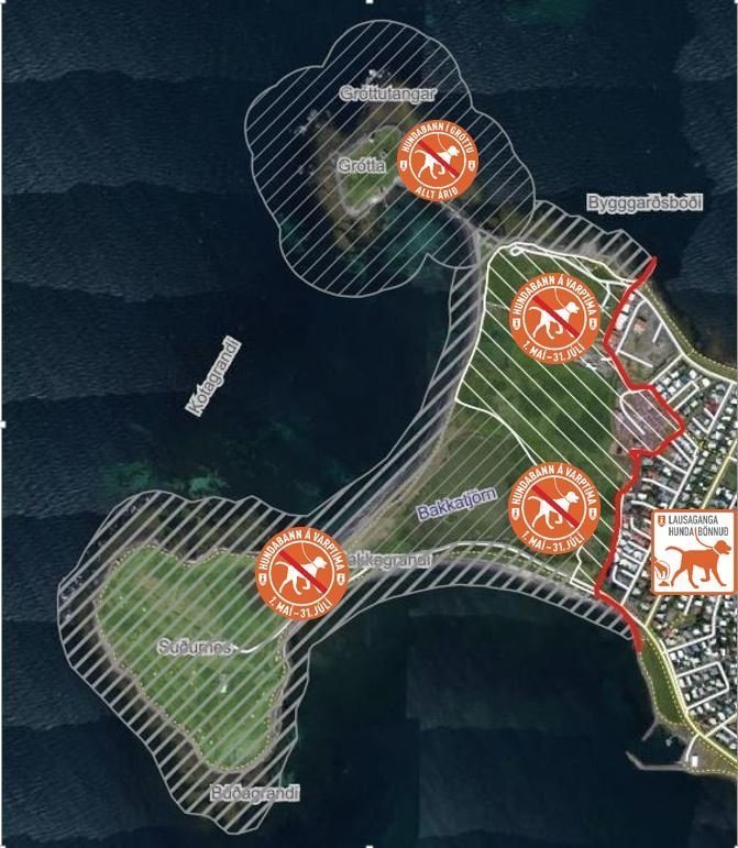 Varptíminn er hafinn! Sumarlokun í Gróttu og hundabann á Vestursvæðunum
