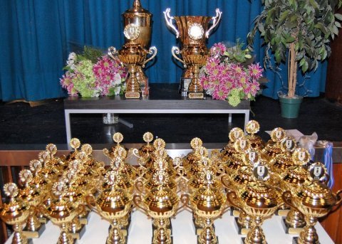 Tilnefningar óskast um íþróttamann Seltjarnarness 2025