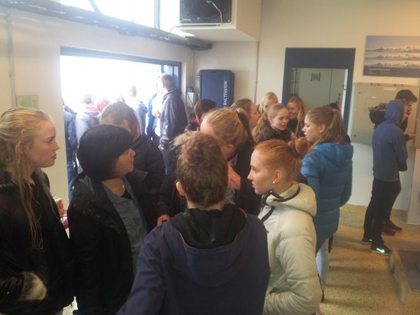 Frítt sundkort á Seltjarnarnesi