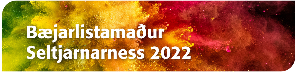 Bæjarlistamaður Seltjarnarness 2022 - opið fyrir umsóknir og tilnefningar!