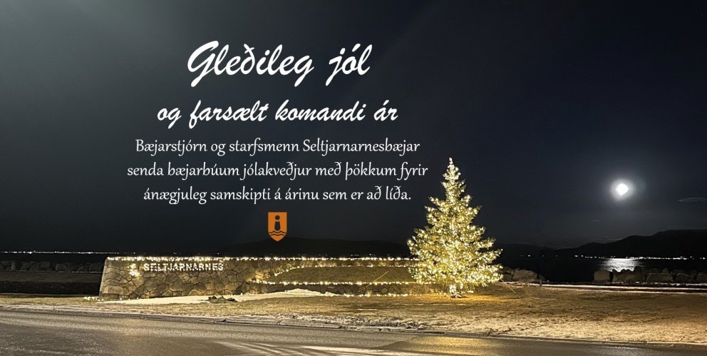 Gleðileg jól og farsælt komandi ár