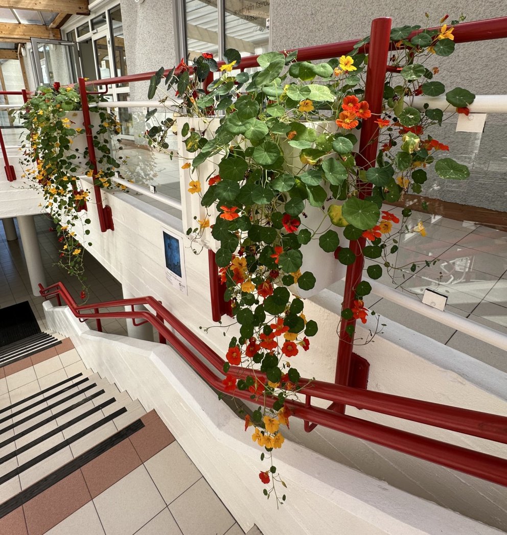 Eldblóm á Eiðistorgi