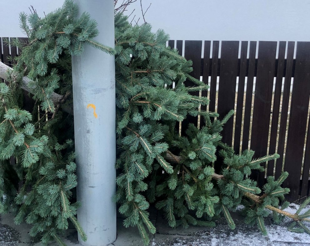 Minnum íbúa á að farga jólatrjám og skoteldum beint í Sorpu