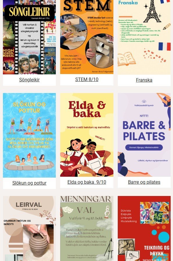 Námsval skólaárið 2026-2027