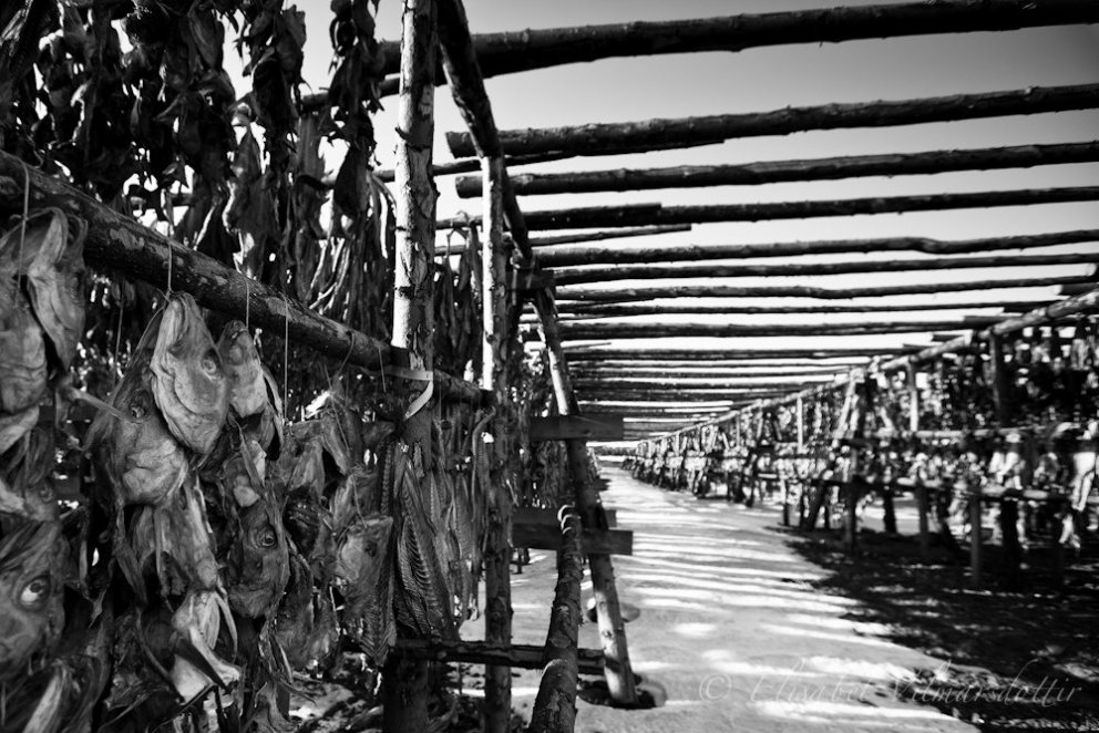 Brot úr lífi bæjarstjóra