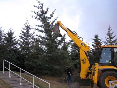 Jólatré Seltjarnarnesbæjar