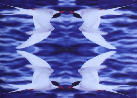 Foreldrafélag Leikskóla Seltjarnarness færði öllum börnum leikskólans sumargjöf