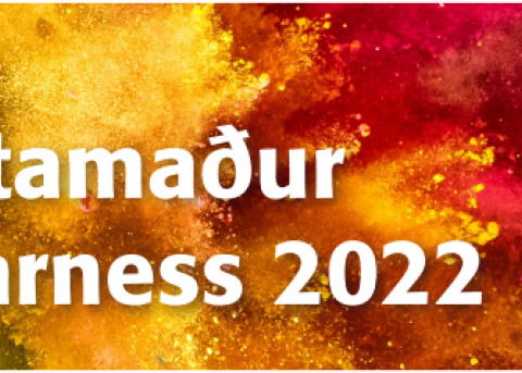 Bæjarlistamaður Seltjarnarness 2022 - opið fyrir umsóknir og tilnefningar!