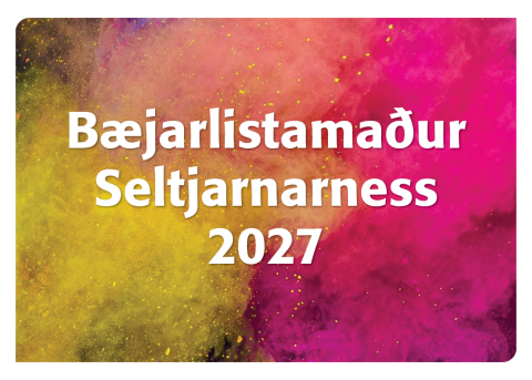 Bæjarlistamaður Seltjarnarness 2027 Opið fyrir umsóknir og tilnefningar