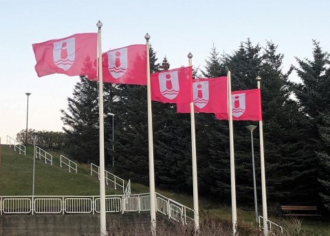 Bleikur október á Seltjarnarnesi