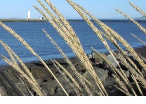 Fjármál og rekstur 2007 komið út