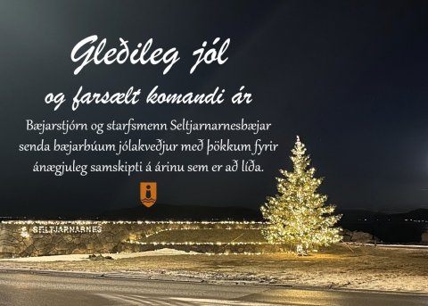 Gleðileg jól og farsælt komandi ár
