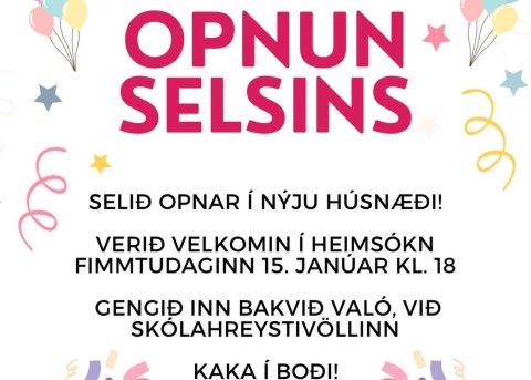 Opnun Selsins
