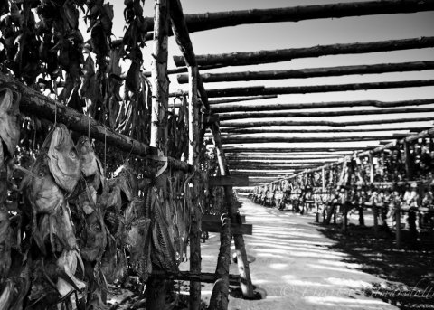 Brot úr lífi bæjarstjóra