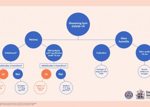 Smitgát og smitrakning - gagnleg yfirlitsmynd