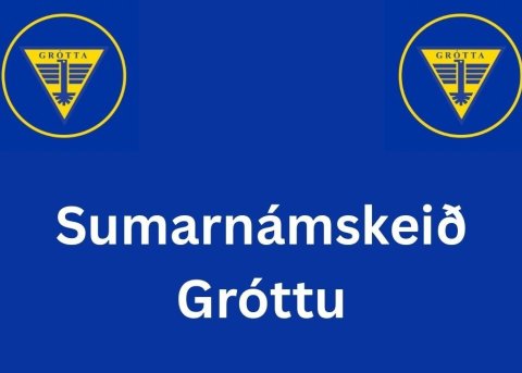 Fjölbreytt sumarnámskeið Gróttu fyrir börn