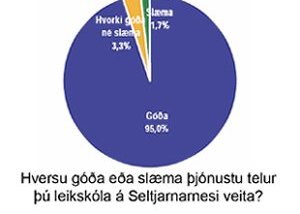 Þjónusta bæjarins góð