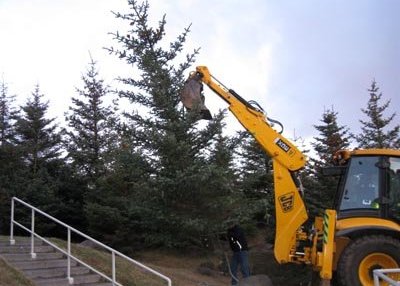 Jólatré Seltjarnarnesbæjar