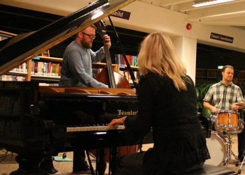 Frábærir tónleikar Sunnu Gunnlaugsdóttur