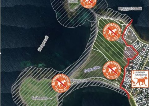 Varptíminn er hafinn! Sumarlokun í Gróttu og hundabann á Vestursvæðunum